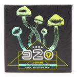 Room 920 - Mushroom Chocolate Bar - Dark Chocolate Mint - 3 grams | Psychedelic Canada