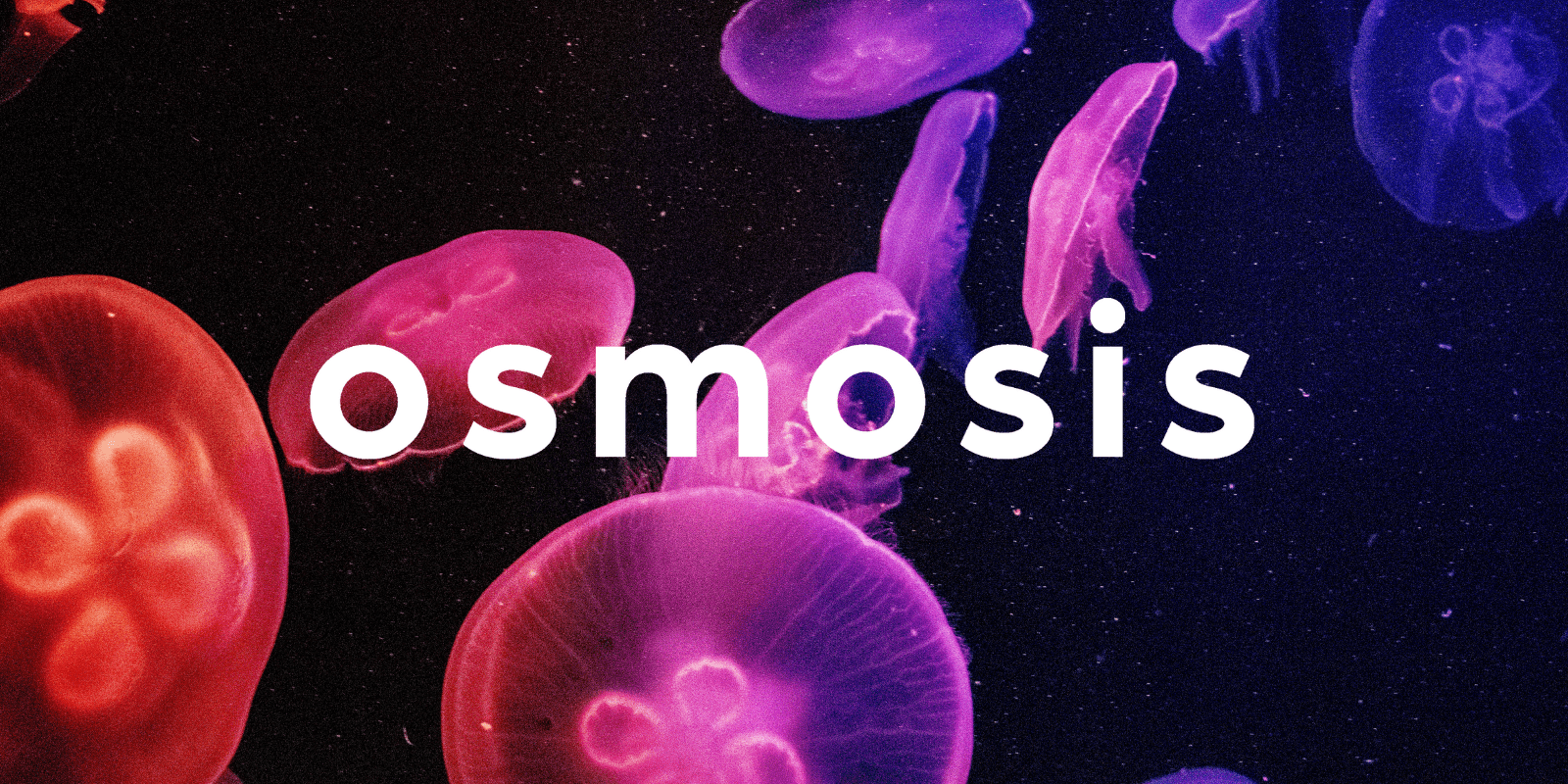 Zoomies osmosis banner | Psychedelic Canada