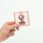 Wonder – Psilocybin Chocolate Bar – Blood Orange | Psychedelic Canada