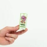 Wonder – Psilocybin Chocolate Bar – Dark Chocolate | Psychedelic Canada