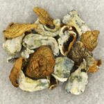 King Kong | Psychedelic Canada