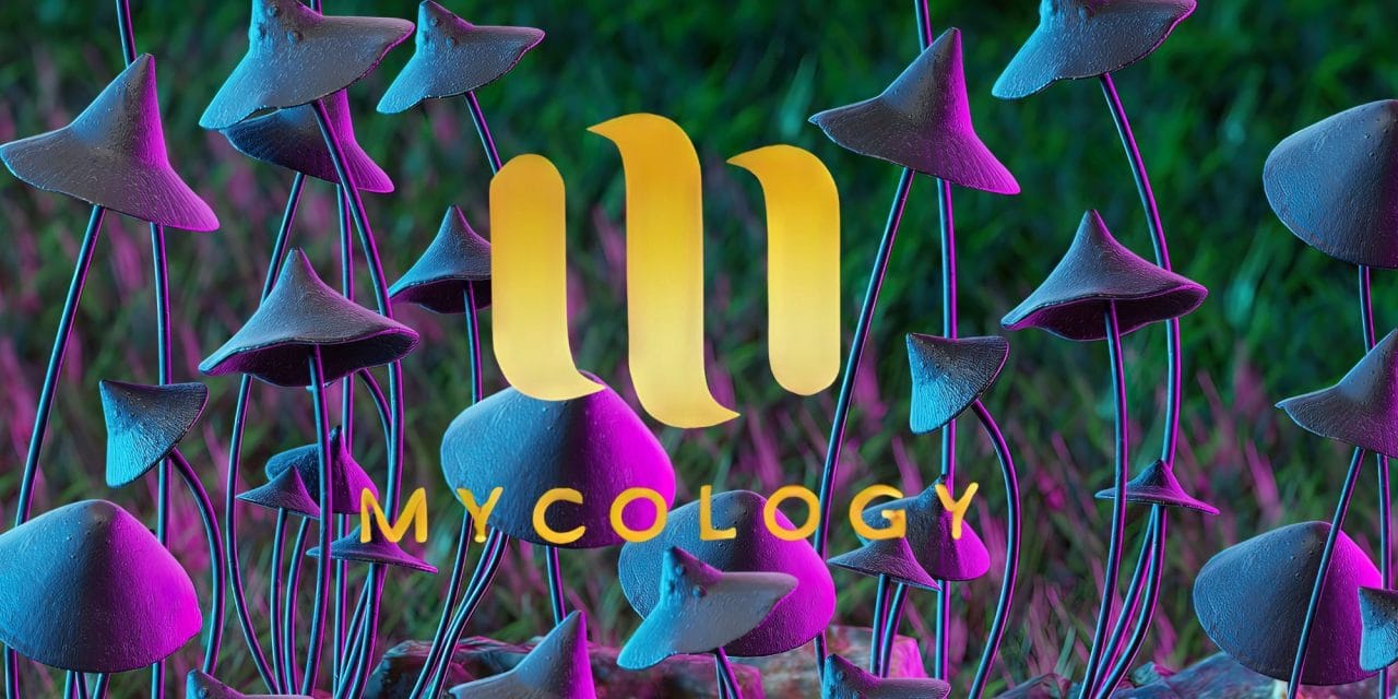 Zoomies Summer 2023 Banner - Mycology | Psychedelic Canada
